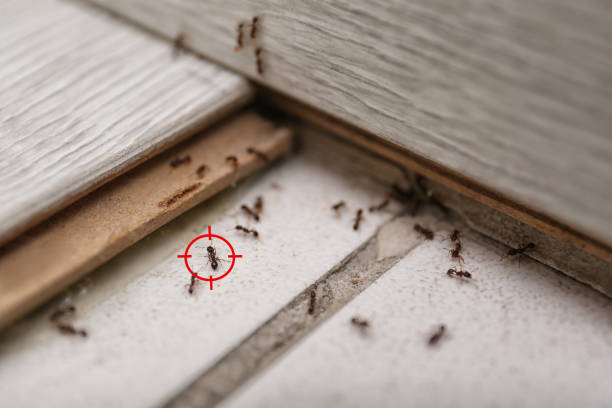 Best Insect Control  in Nichols Hills, OK