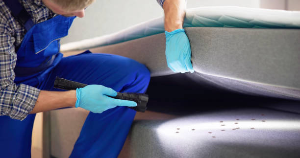 Best Wasp Removal Services  in Nichols Hills, OK