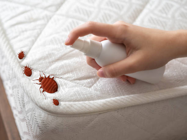 Professional Pest Control in Nichols Hills, OK
