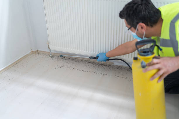 Best Affordable Pest Control Services  in Nichols Hills, OK